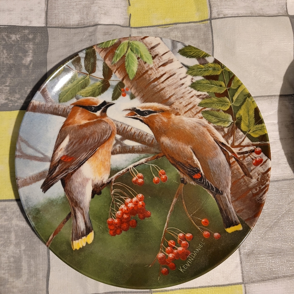Collection Plates - Picture 2 of 6